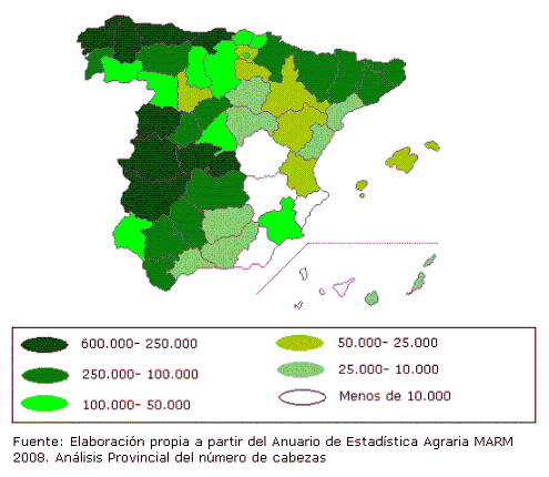 Mapa de España con un análisis por provincias del número de cabezas de ganado bovino para el año 2008 (fuente MARM), destaca la cornisa cantábrica, las dehesas de Castilla y León, Extremadura, Andalucía y el Valle del Ebro con una producción situada entre 250.000 y 600.000 cabezas.
