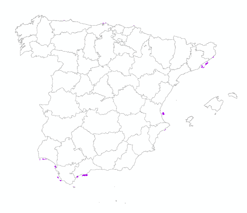 overview