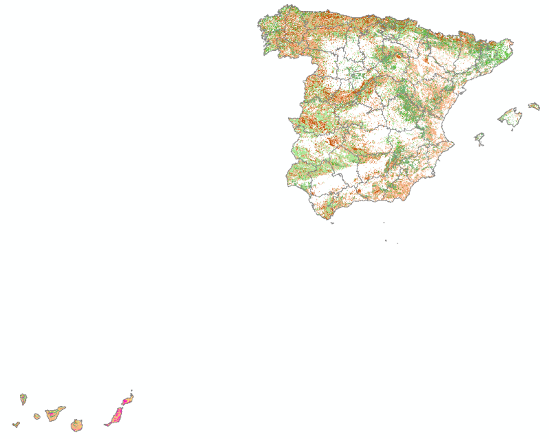 overview