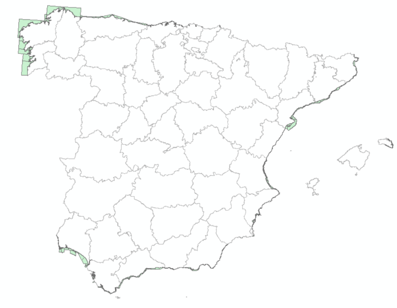 overview