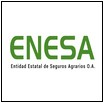 logo ENESA