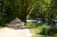 Camino de sirga paralelo al Canal de Castilla
